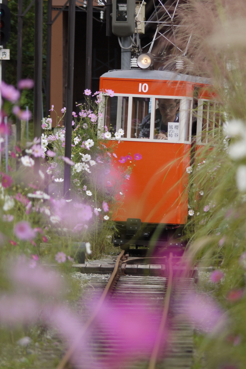 10号電車 写真1