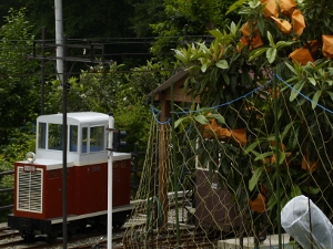 DD11-9号機 写真5