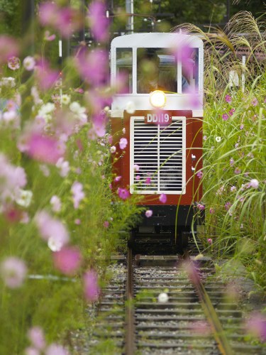 DD11-9号機 写真8